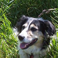 Millie Poole Photo 8