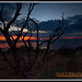 Robert Daugherty Photo 35