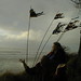Gail Simons Photo 15