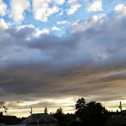 Tracy Brown Photo 35