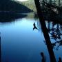 Lloyd Peters Photo 22