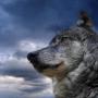 Donna Bradshaw Photo 12