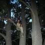 Tom Mcdermott Photo 17