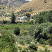 Joanne Pino Photo 6