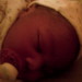 Bobby Price Photo 4