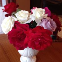 Mary Waggoner Photo 26