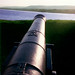 Anne Fort Photo 3