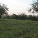 Katherine Hess Photo 8