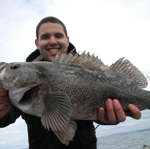 Steve Martinez Photo 33