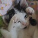 Louise Anderson Photo 14