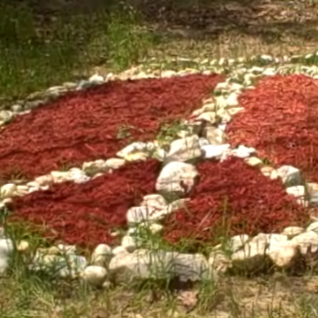 Jane Mcdaniel Photo 35
