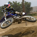 Lance Stewart Photo 21