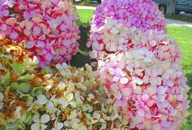 Lisa Duffy Photo 25
