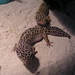 Joshua Jewell Photo 10