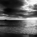 David Croy Photo 14