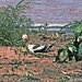 Kenneth Haskell Photo 19