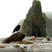 Ruby Crow Photo 6