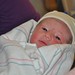 Alexander Halverson Photo 5