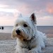 Roger Carns Photo 3