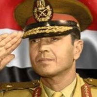 Mahmoud Youssef Photo 35