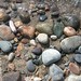 Donna Ackerman Photo 21