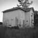 Randall Wire Photo 6
