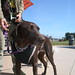 Isabel Walker Photo 31
