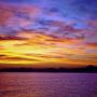 Allison Gunter Photo 14