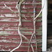 Bruce Marshall Photo 23
