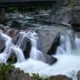 Frances Mcginnis Photo 16