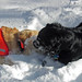 Jessie Brady Photo 14