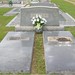 Willie Foster Photo 33