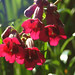 Ruby Rich Photo 8