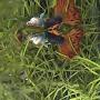 Debra Gillespie Photo 13
