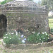 Ruth Avila Photo 16
