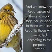 Debbie Berryhill Photo 9