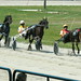 Don Harness Photo 9