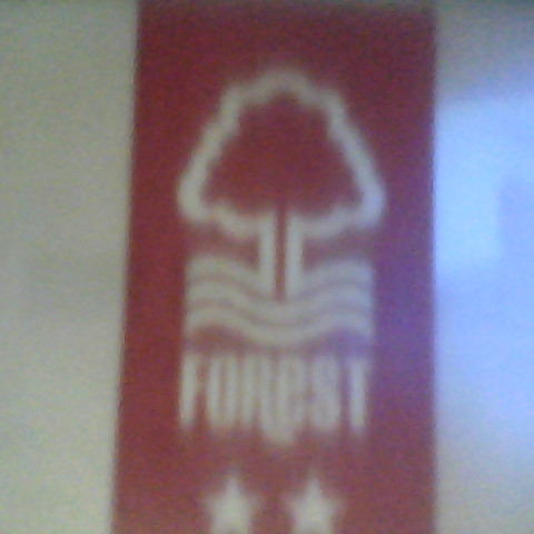 James Fogg Photo 31