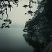 Kiem Trinh Photo 10