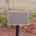 Kenneth Dutton Photo 17