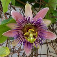 Kathi Robinson Photo 27