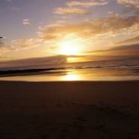 Sharon Kuhn Photo 8