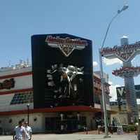 Patricia Ingersoll Photo 8