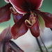 Nancy Fairchild Photo 38