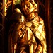 Simon Jenkins Photo 19