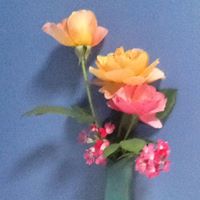 Cynthia Ernst Photo 10