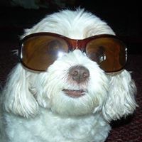 Brandy Hinson Photo 9