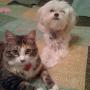 Kelly Bergeron Photo 23
