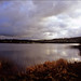 Ron Combs Photo 30