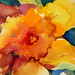 Nancy Burks Photo 24